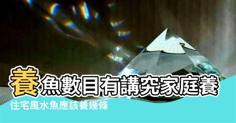 魚 數量 風水|養風水魚數量攻略：命格五行對應養魚條數 